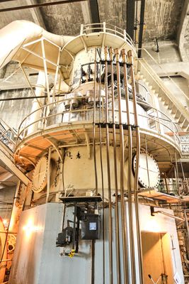 Georgetown Steam Plant