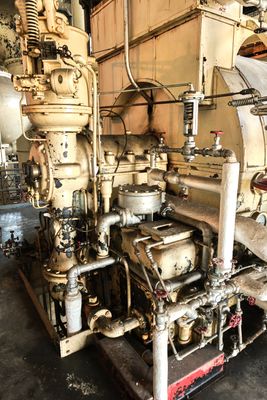 Georgetown Steam Plant