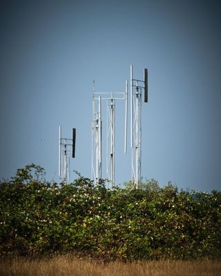 A Sound Garden