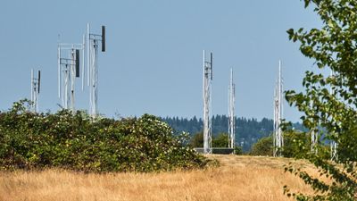 A Sound Garden