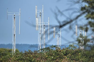 A Sound Garden