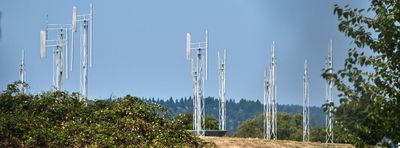 A Sound Garden