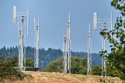 A Sound Garden