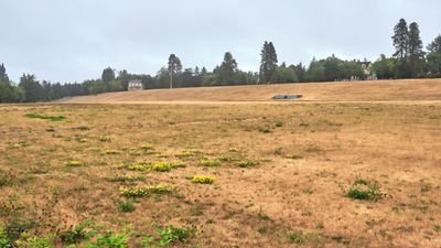 Fort Lawton