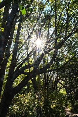 Discovery Park