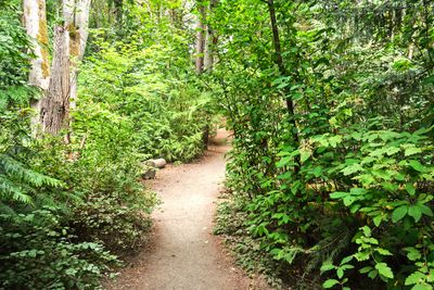 Discovery Park