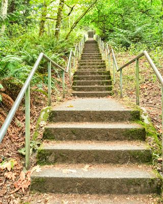 Discovery Park