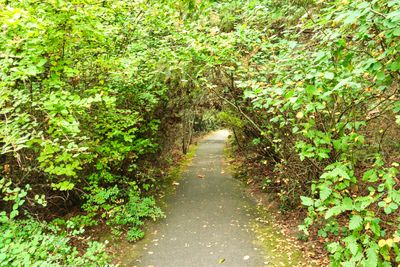 Discovery Park