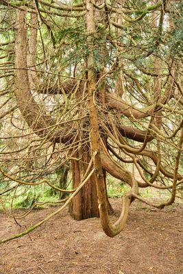 Discovery Park