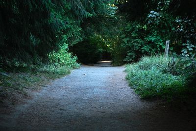 Discovery Park
