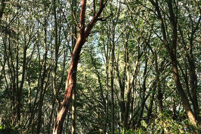 Discovery Park