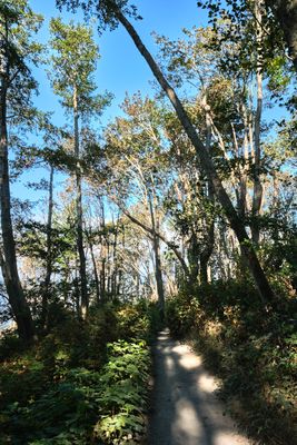 Discovery Park