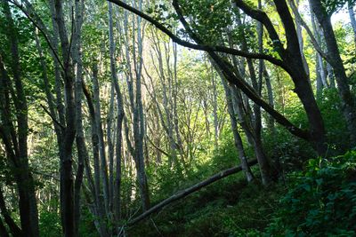 Discovery Park