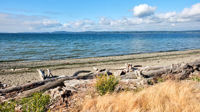Discovery Park