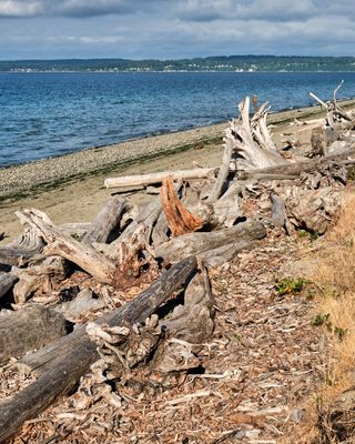 Discovery Park