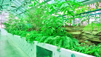 Neukom Vivarium