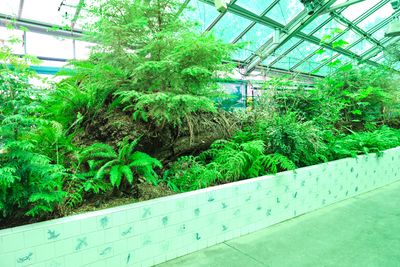 Neukom Vivarium