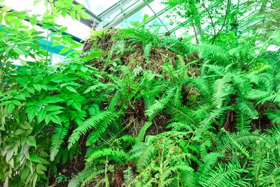 Neukom Vivarium