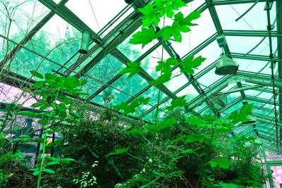 Neukom Vivarium