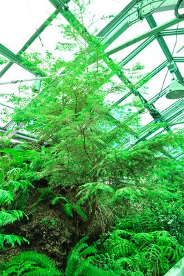 Neukom Vivarium