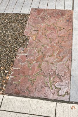 Tree Grate Museum