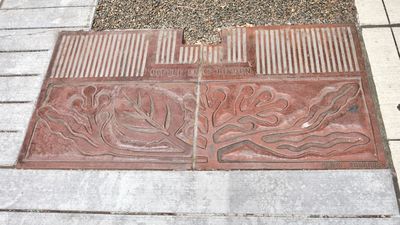 Tree Grate Museum