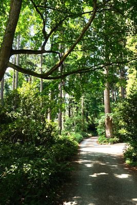 Dunn Gardens