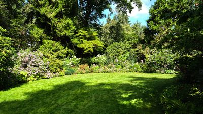 Dunn Gardens