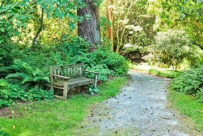 Dunn Gardens