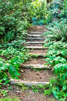 Dunn Gardens