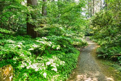 Dunn Gardens