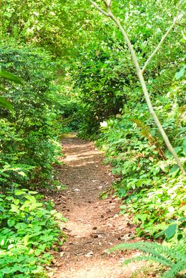 Dunn Gardens