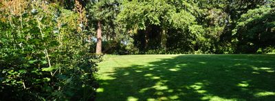 Dunn Gardens