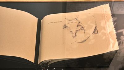 Book Arts & Rare Book Collections
