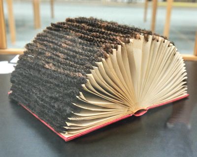 Book Arts & Rare Book Collections