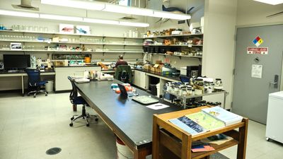 Burke Museum Ichthyology Collection