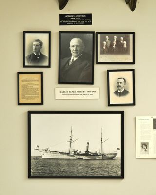 Burke Museum Ichthyology Collection