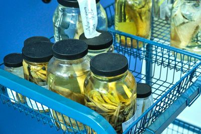 Burke Museum Ichthyology Collection