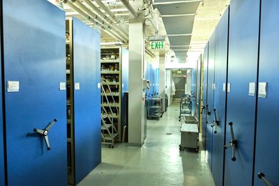 Burke Museum Ichthyology Collection