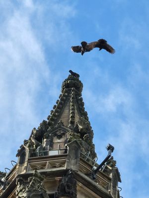 Scott Monument