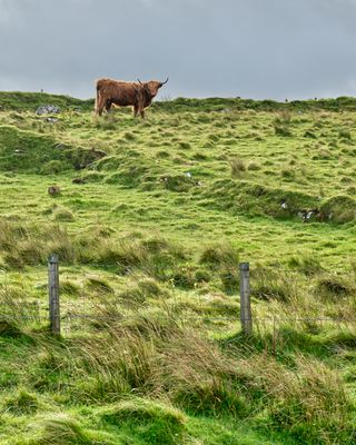 Isle of Skye