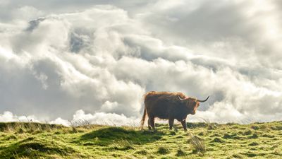 Isle of Skye