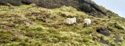 Quiraing