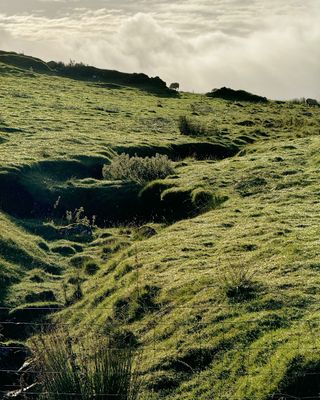 g13/56/781656/3/174919114.4058ce21.JPEG