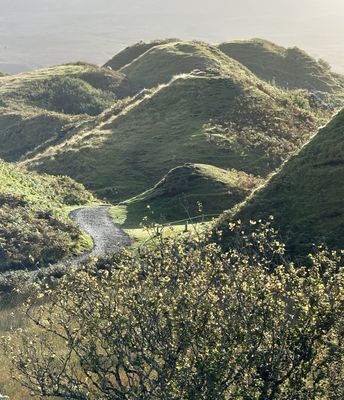 g13/56/781656/3/174919118.c600f7b5.JPEG