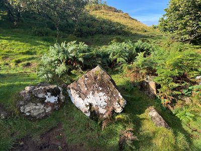 Fairy Glen