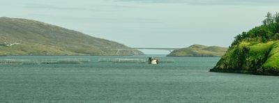 Scalpay Bridge