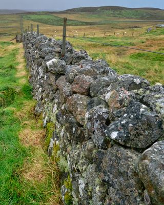 Callanish Stones I