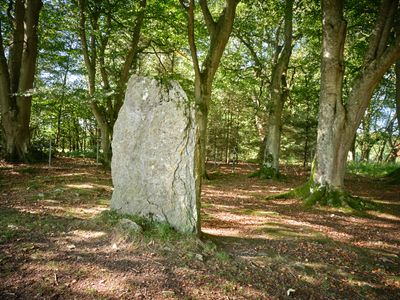 Clava Cairns