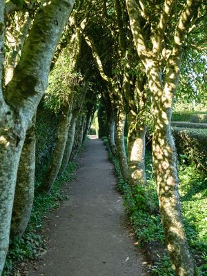 Cawdor Castle and Gardens